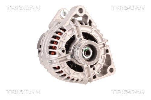Alternateur Triscan A/S 8310 29098