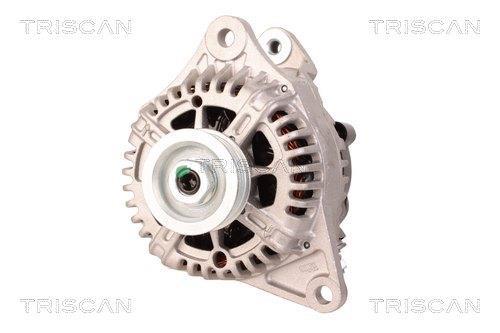 Alternateur Triscan A/S 8310 29100