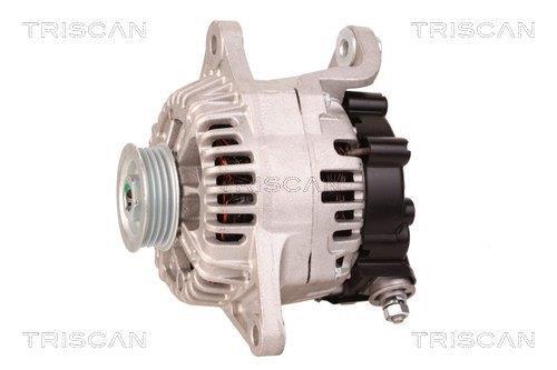 Alternateur Triscan A/S 8310 29100