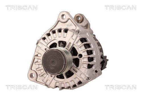 Alternateur Triscan A/S 8310 29103