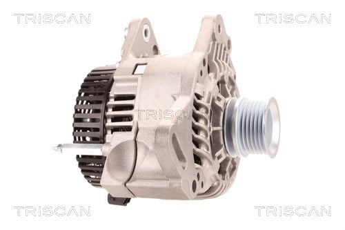 Alternateur Triscan A/S 8310 29107