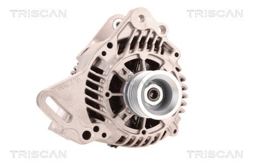 Alternateur Triscan A/S 8310 29107