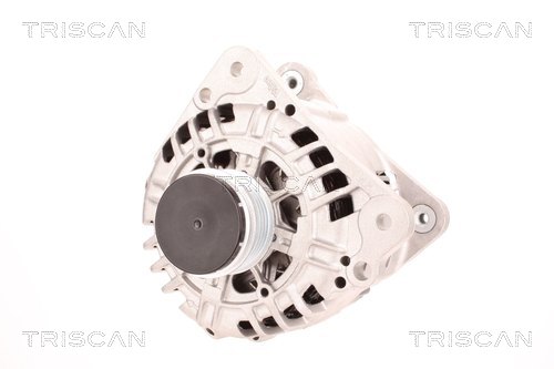 Alternateur Triscan A/S 8310 29109