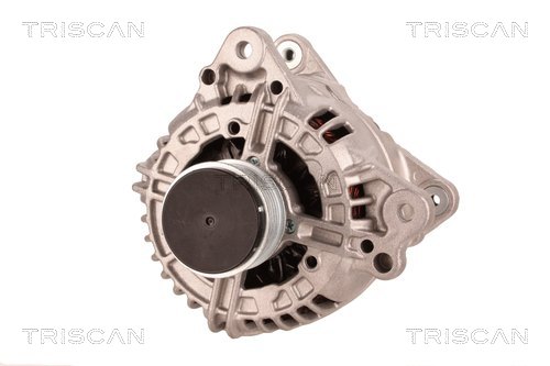 Alternateur Triscan A/S 8310 29110