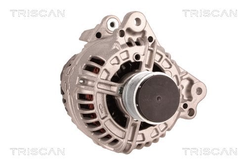 Alternateur Triscan A/S 8310 29110
