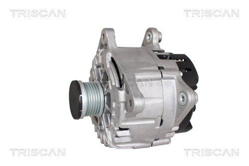 Alternateur Triscan A/S 8310 29114