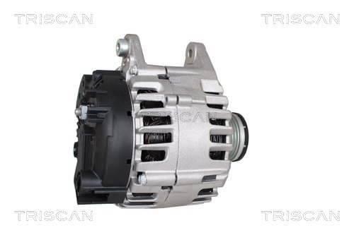 Alternateur Triscan A/S 8310 29114