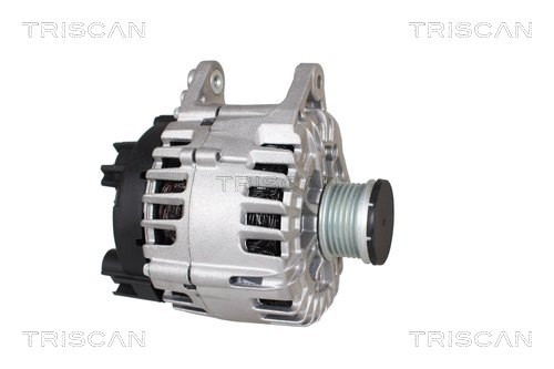 Alternateur Triscan A/S 8310 29114