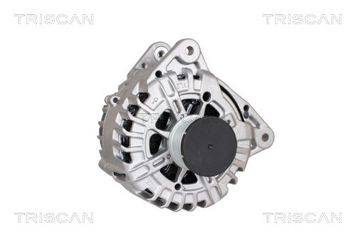 Alternateur Triscan A/S 8310 29114
