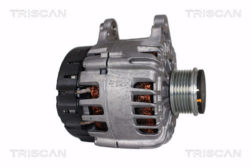 Alternateur Triscan A/S 8310 29115