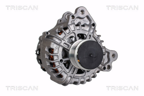 Alternateur Triscan A/S 8310 29115