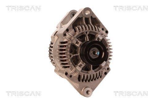 Alternateur Triscan A/S 8310 40004