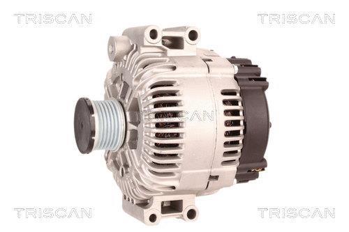 Alternateur Triscan A/S 8310 42001