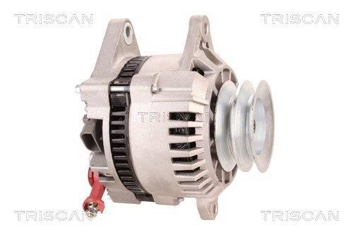 Alternateur Triscan A/S 8310 43010