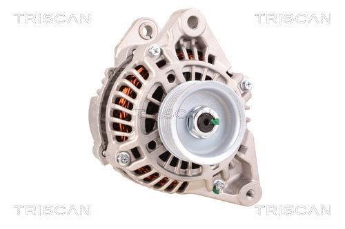 Alternador Triscan A/S 8310 43011
