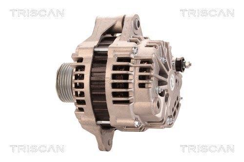 Alternateur Triscan A/S 8310 43019