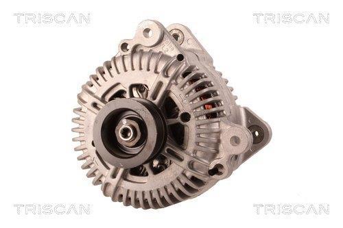 Alternateur Triscan A/S 8310 43045