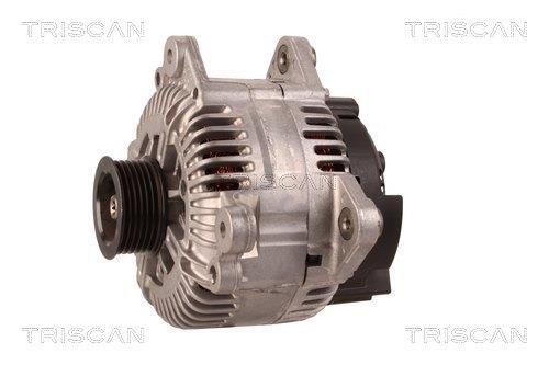 Alternateur Triscan A/S 8310 43045
