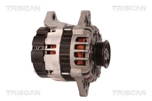Alternateur Triscan A/S 8310 50001