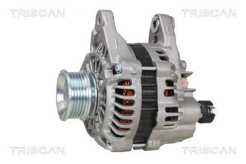 Alternateur Triscan A/S 8310 50001