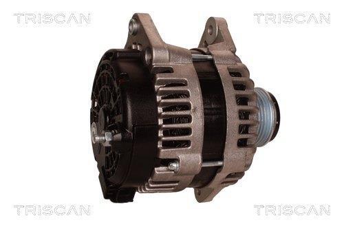 Alternateur Triscan A/S 8310 60001