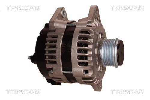 Alternateur Triscan A/S 8310 60001