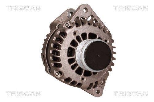 Alternateur Triscan A/S 8310 60001