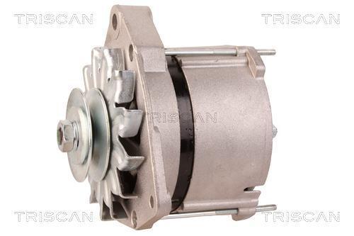 Alternateur Triscan A/S 8310 69001