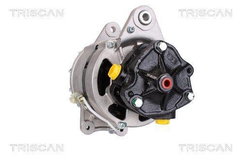 Alternateur Triscan A/S ref. 8310 69002