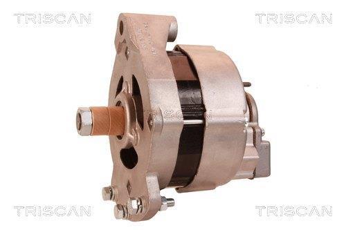 Alternateur Triscan A/S 8310 69004