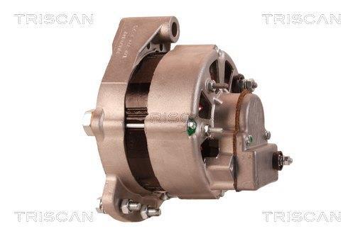 Alternateur Triscan A/S 8310 69004