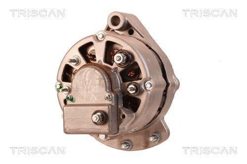 Alternateur Triscan A/S 8310 69004