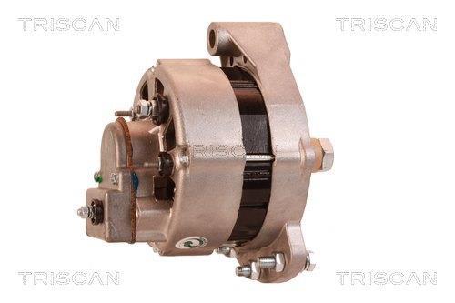 Alternateur Triscan A/S 8310 69004