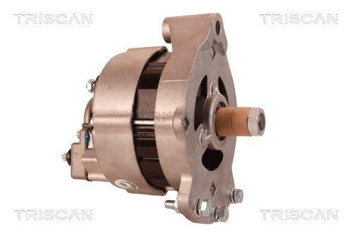 Alternateur Triscan A/S 8310 69004