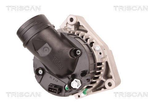 Alternateur Triscan A/S 8310 69005
