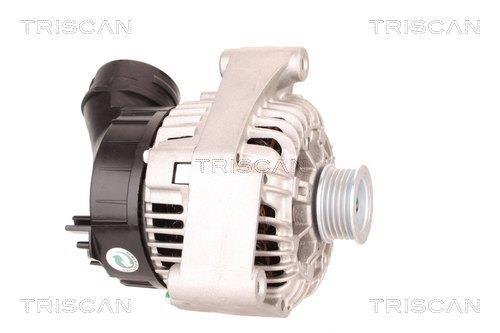 Alternateur Triscan A/S 8310 69005