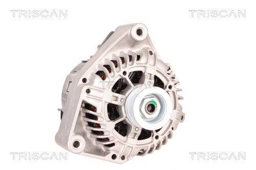 Alternateur Triscan A/S 8310 69005