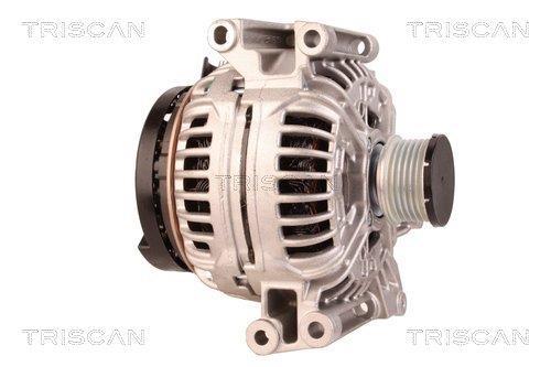 Alternateur Triscan A/S 8310 69006