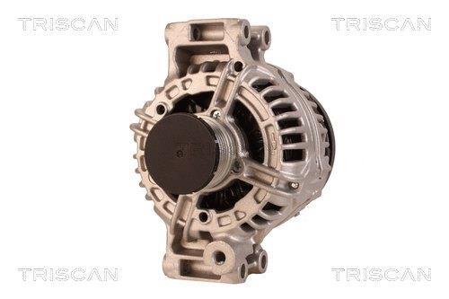 Alternateur Triscan A/S 8310 69006