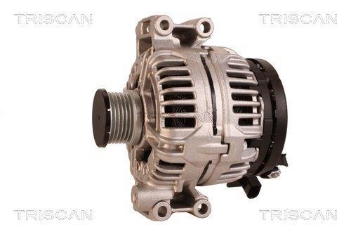 Alternateur Triscan A/S 8310 69006