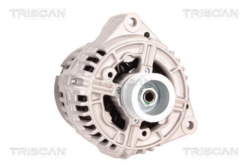 Alternateur Triscan A/S 8310 69007