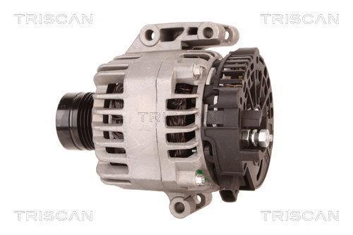 Alternateur Triscan A/S 8310 69009
