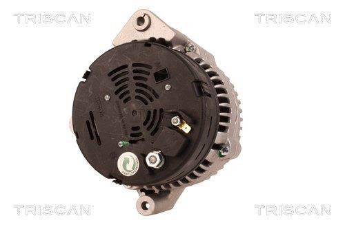 Alternateur Triscan A/S 8310 69013
