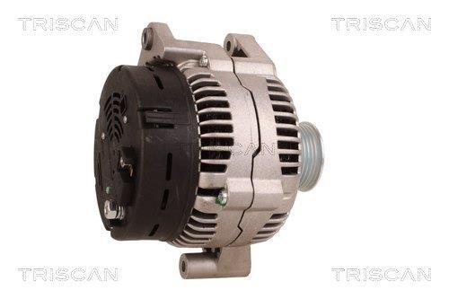 Alternateur Triscan A/S 8310 69013
