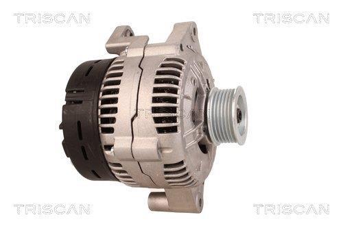 Alternateur Triscan A/S 8310 69013