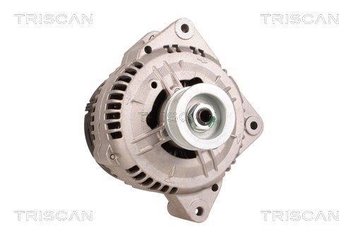 Alternateur Triscan A/S 8310 69013