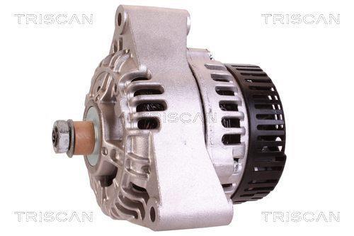 Alternateur Triscan A/S 8310 69013
