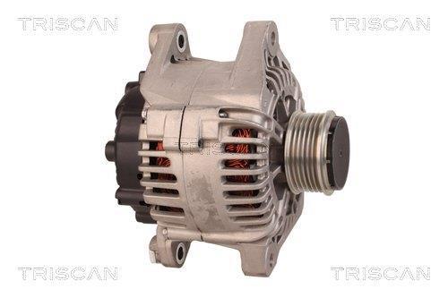 Alternateur Triscan A/S 8310 69014
