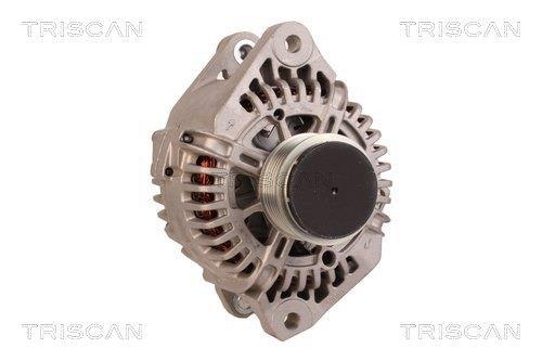 Alternateur Triscan A/S 8310 69014