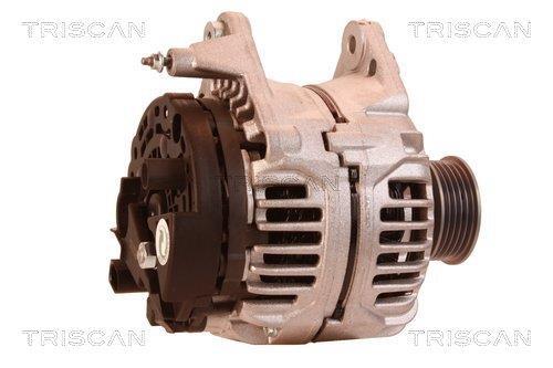Alternateur Triscan A/S 8310 69015